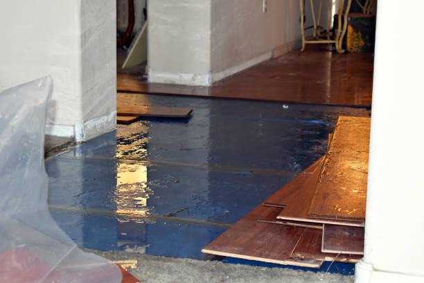 Professional Water Damage Restoration technician working in Saline, MI
