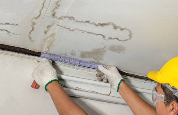 Reliable Water Damage Restoration contractor in Saline, MI by Local Water Damage Repair
